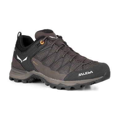 Salewa Buty trekkingowe Mtn Trainer Lite GTX (podejście, wodoodporne) brązowe męskie